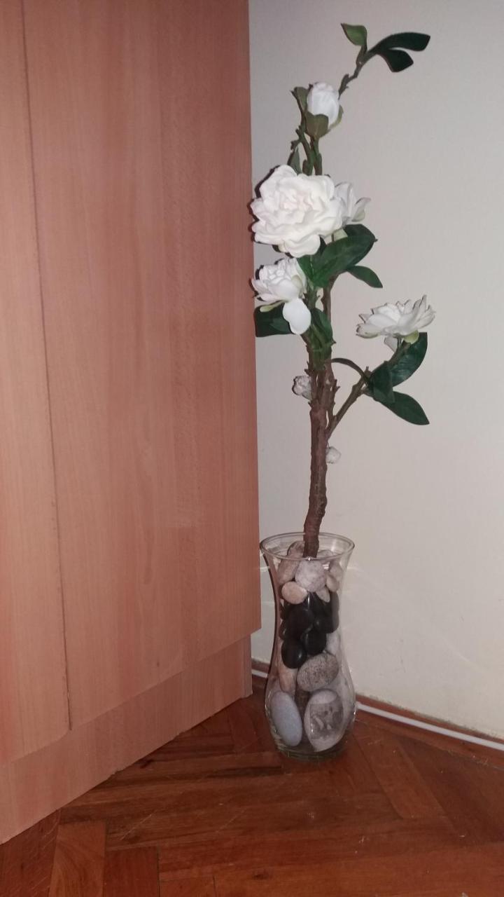 Sweet Home Center Apartment 诺威萨 外观 照片